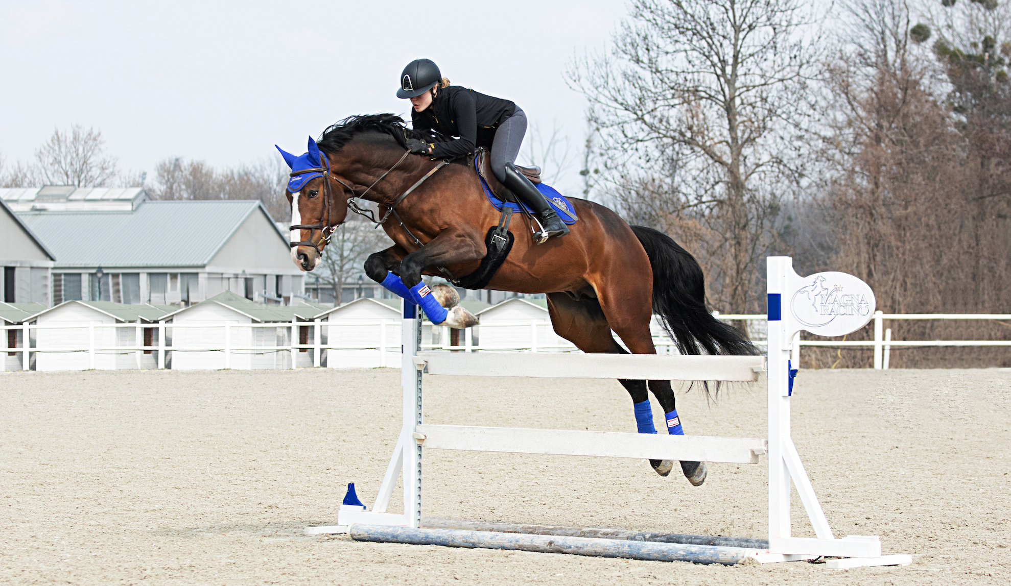 HKM Gently Sattelunterlage Pink/Silber - Schabracke Für Pferde Vollblut/Warmblut